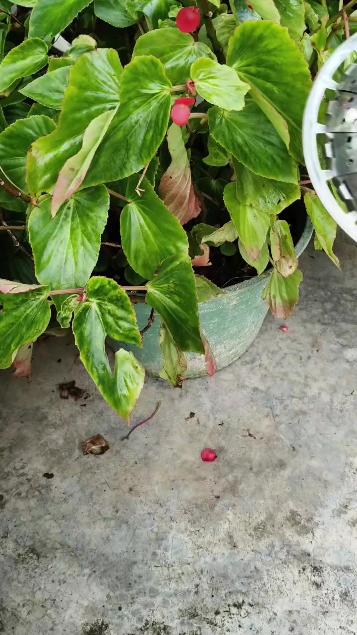 @Nguyễn Thiện Nhân