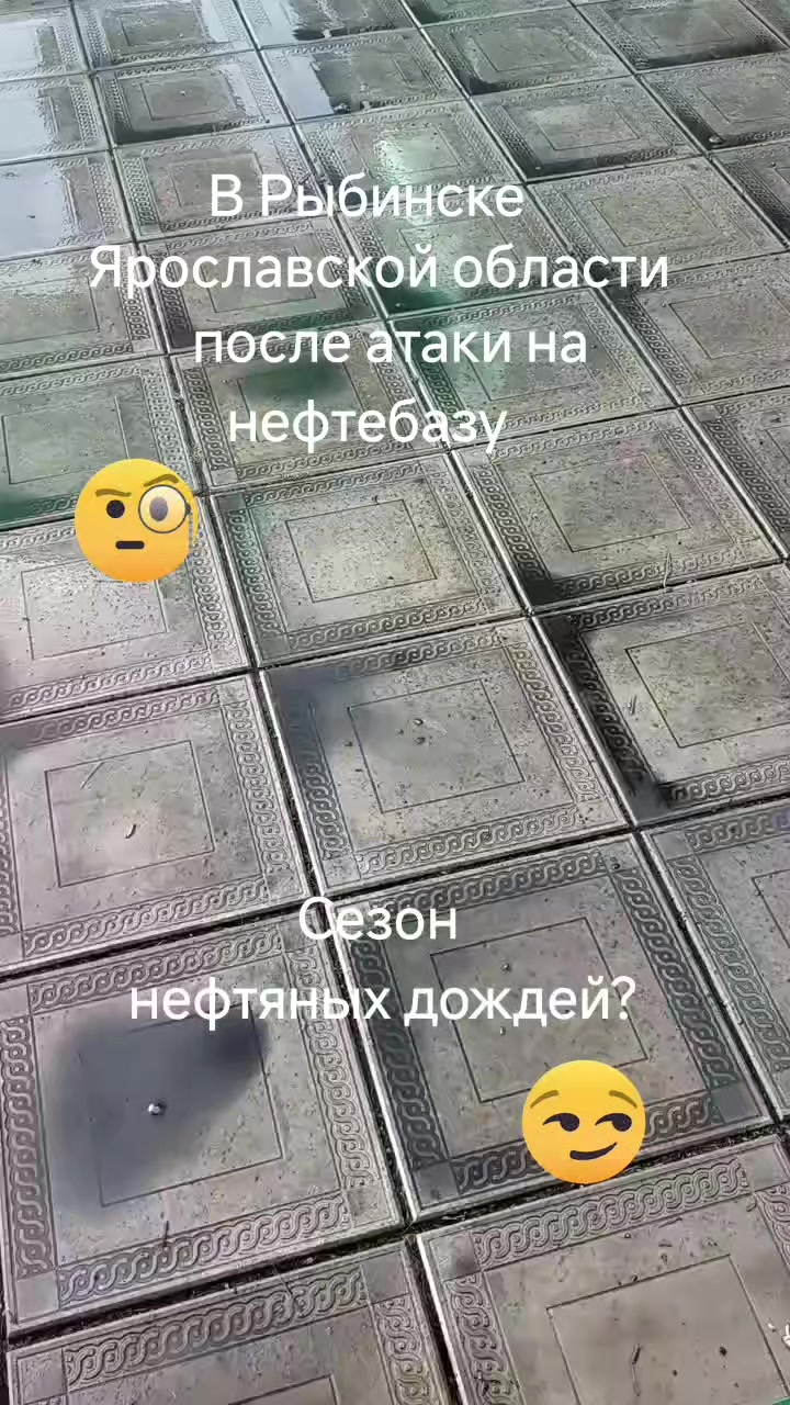 @haliina5