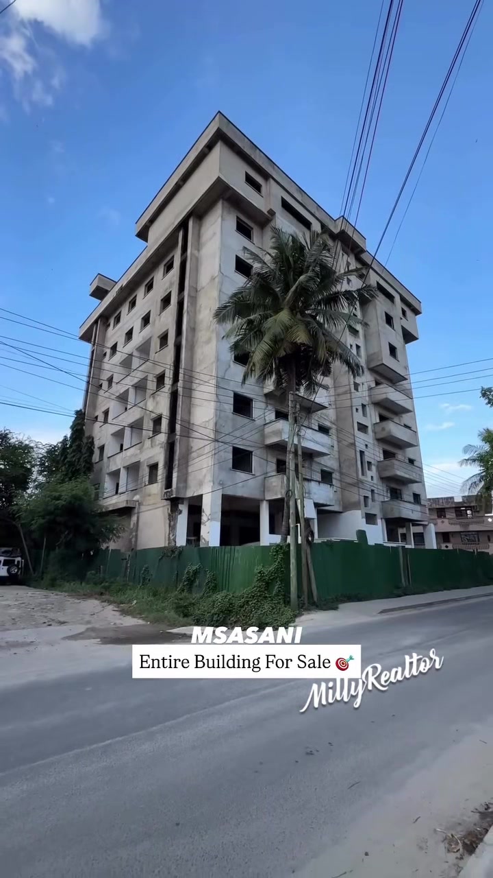 @Milly Realtor 🇹🇿