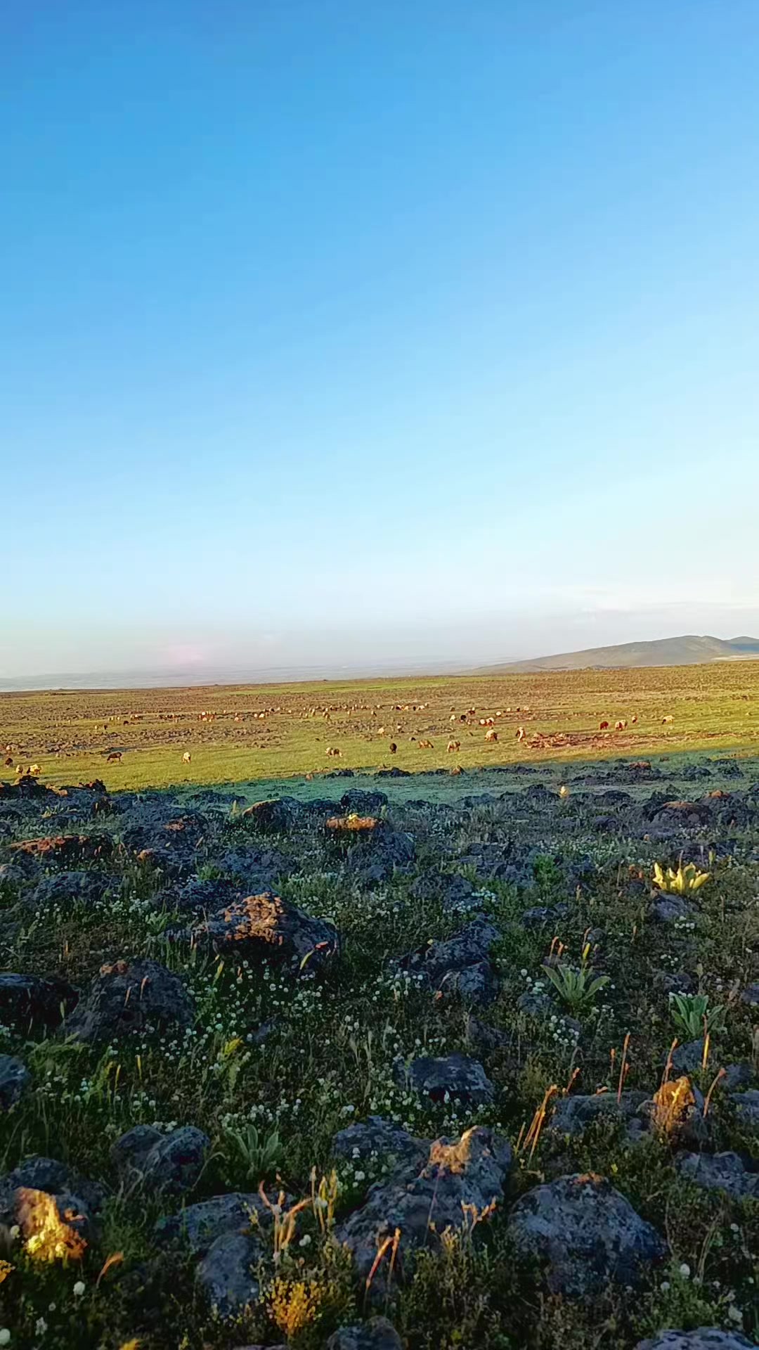@Süleyman21 🐊🐊