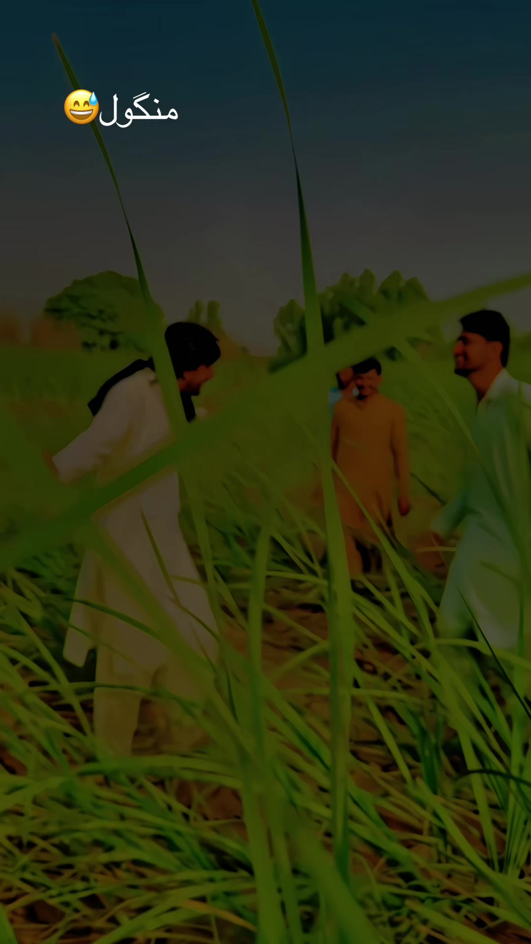 @✌️ 💫🥷اعجازی ملک♡☞ ︻╦デ╤━╼