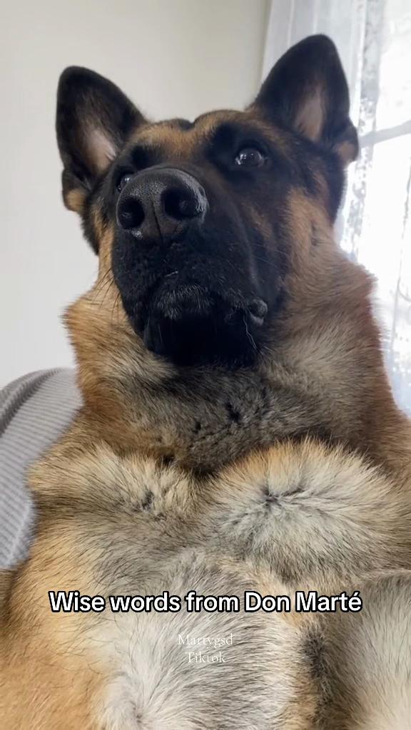 @Martygsd