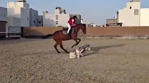 @Al Bosta Equestrian