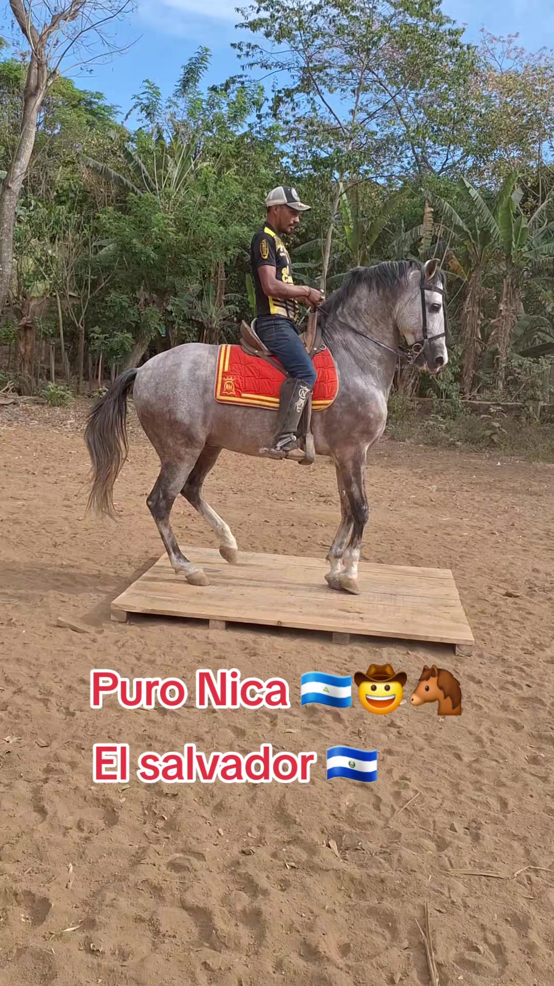 @Reyes Reyes