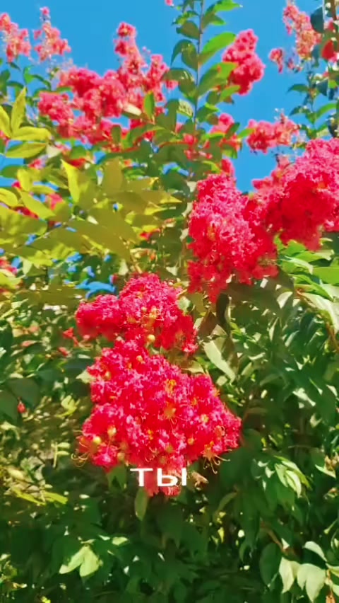 @Марина 🌹