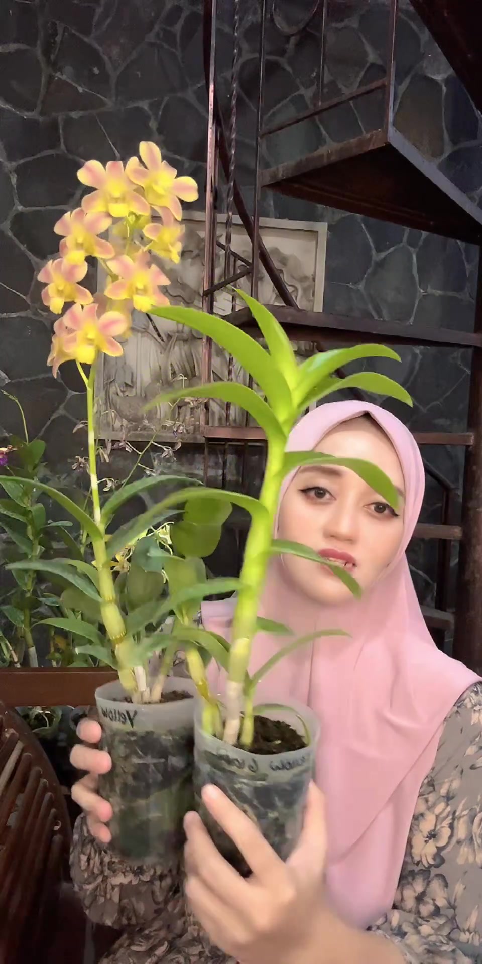 @Anggina Orchid