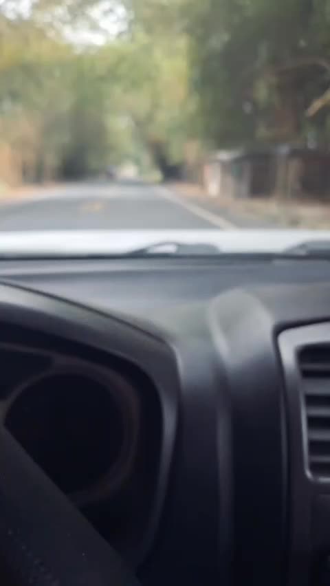 @Santiago 🧭