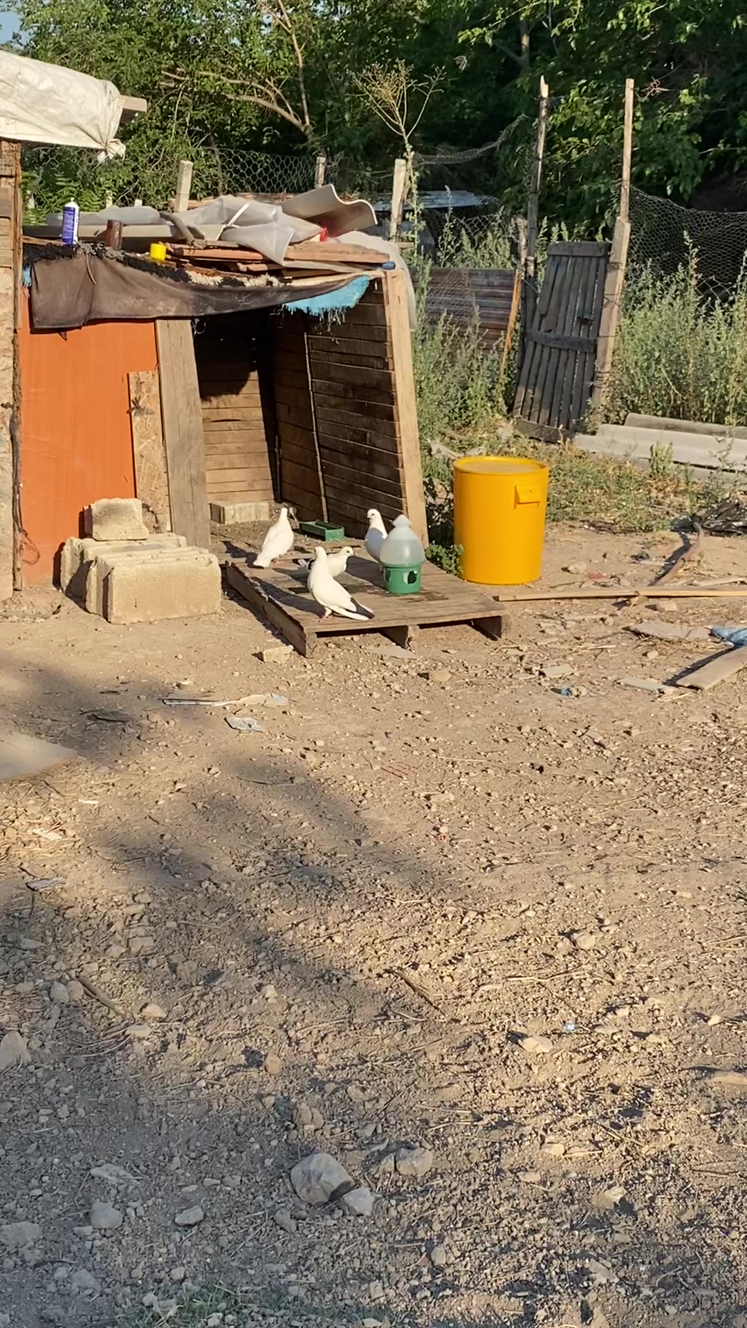 @Miro dolapçıları