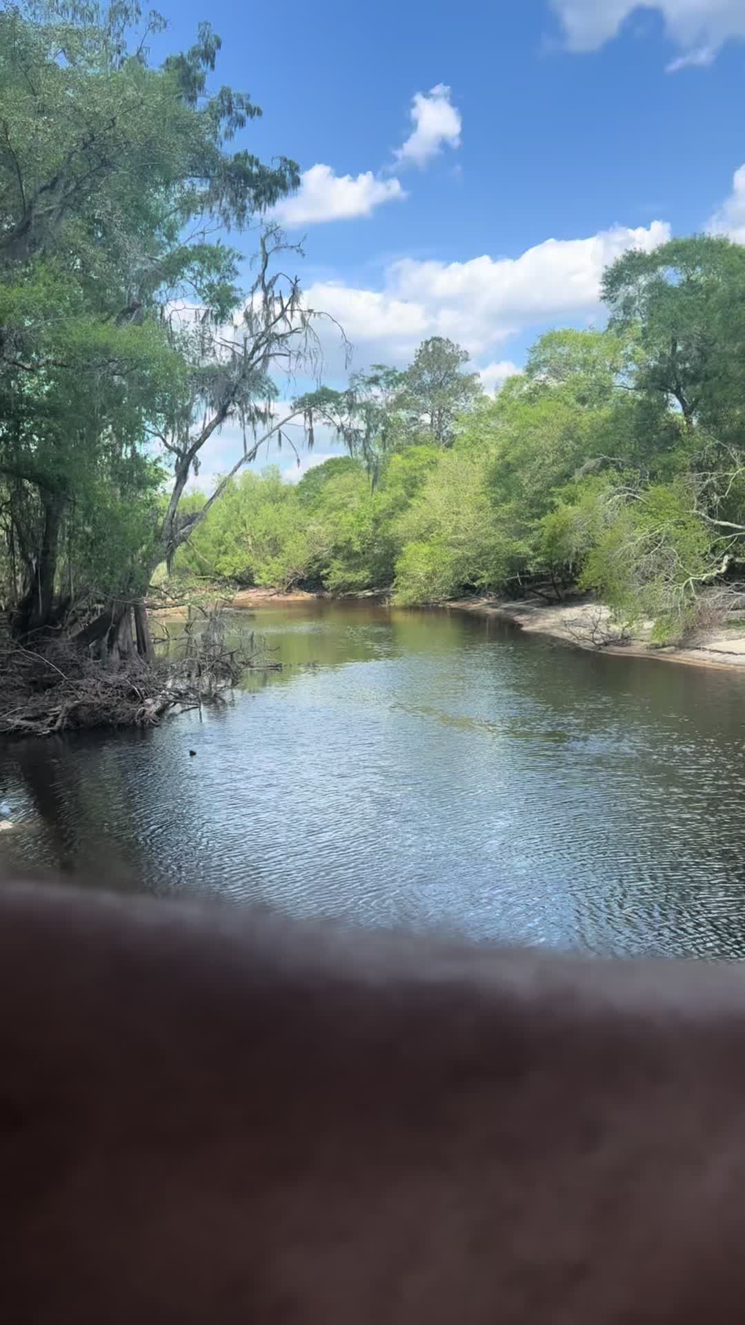 @Satilla River king