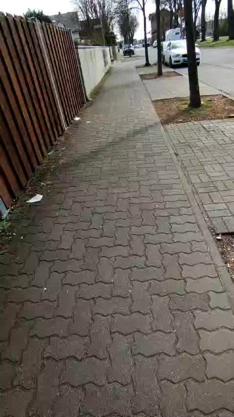 @Adam lfassi Germany ๐ฉ๐ช๐ฒ๐ฆ