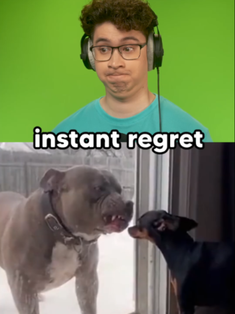 @Eystreem