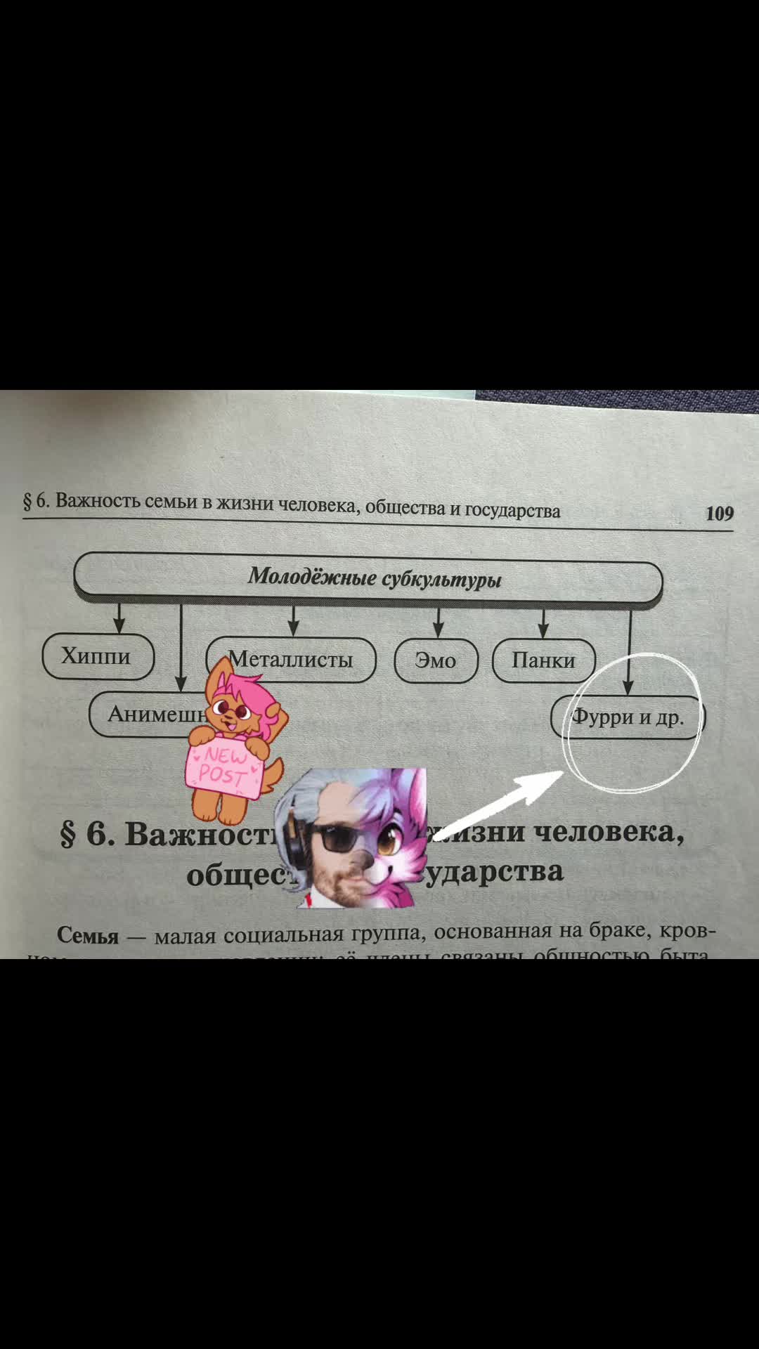 @ТГК: ane4qa