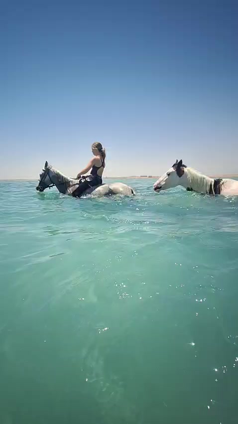 @monalisa_stable