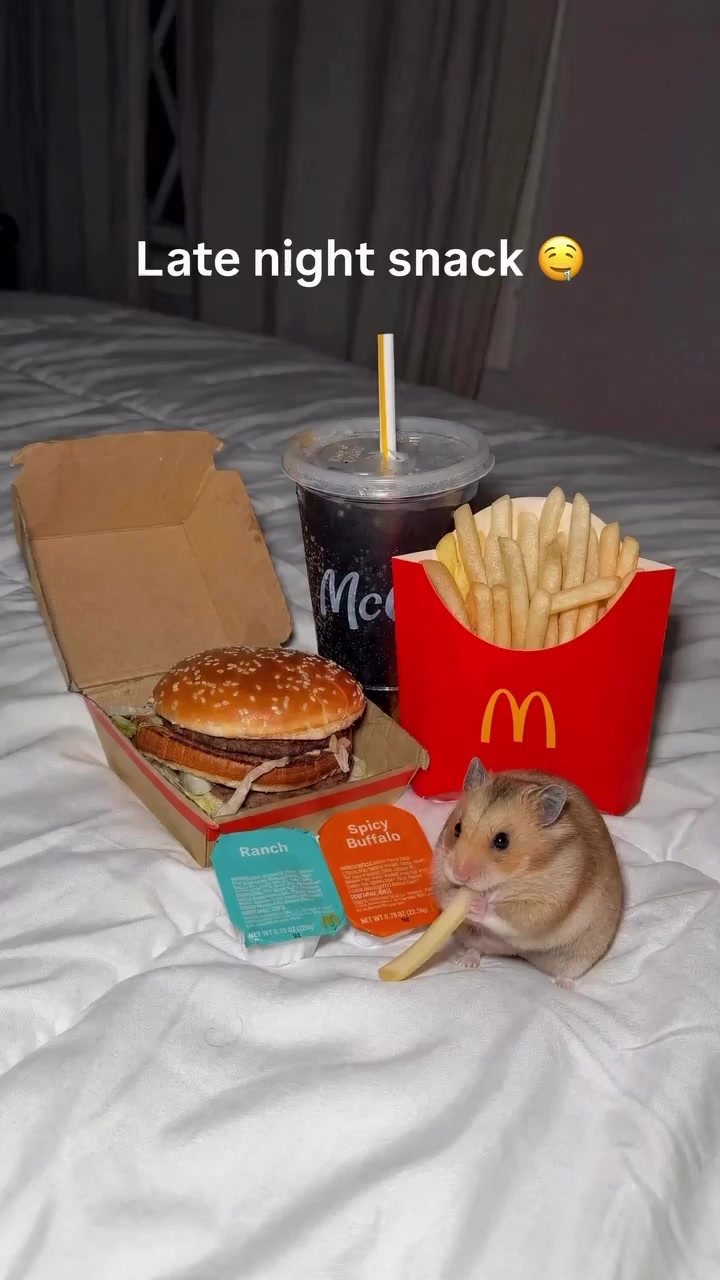 @FoxShot2000