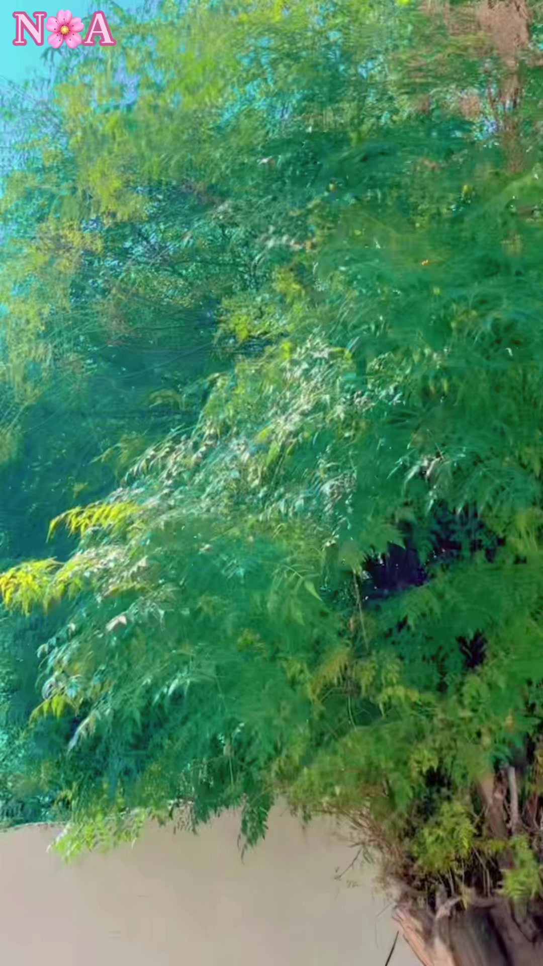 @نثارزرگر 🫀&Atilde;