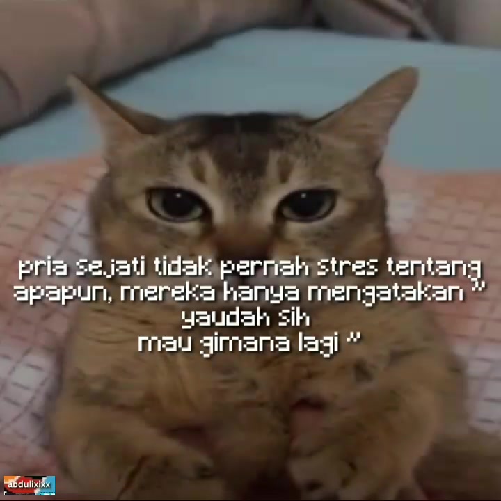@abdulixixx🍉