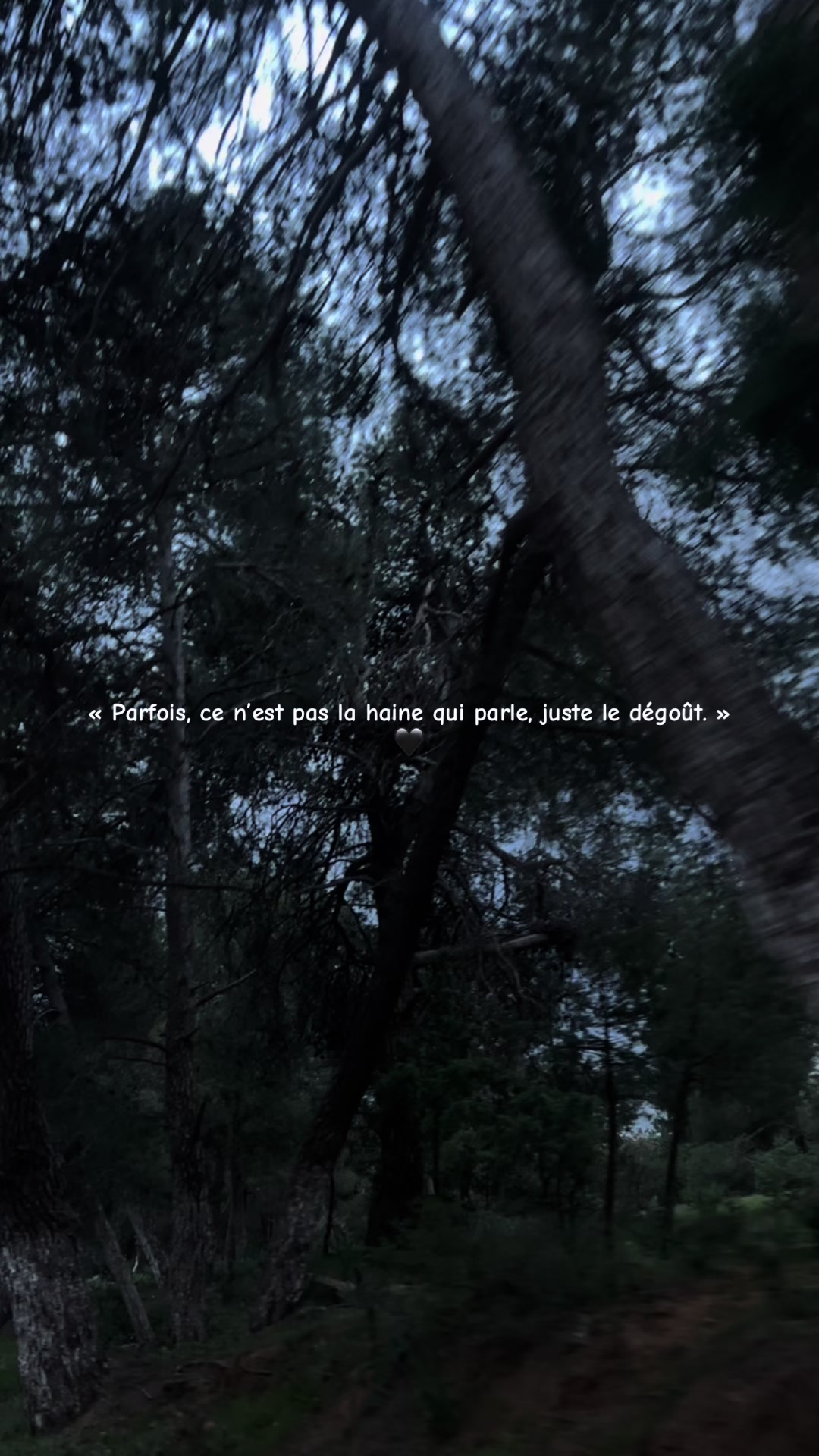 @ᥫ᭡ 𝔐𝔞𝔦𝔰𝔰𝔬𝔲𝔫