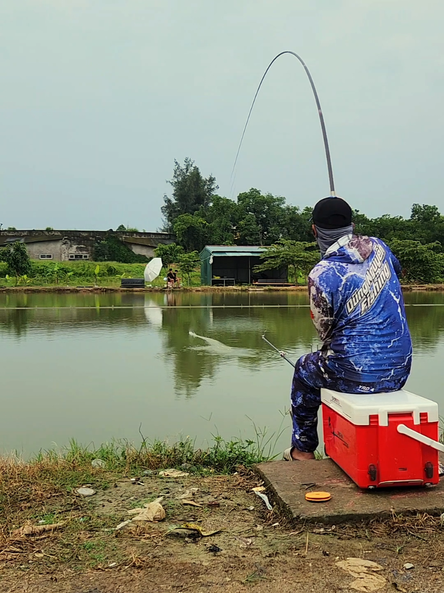 @Dũng Nguyễn Fishing