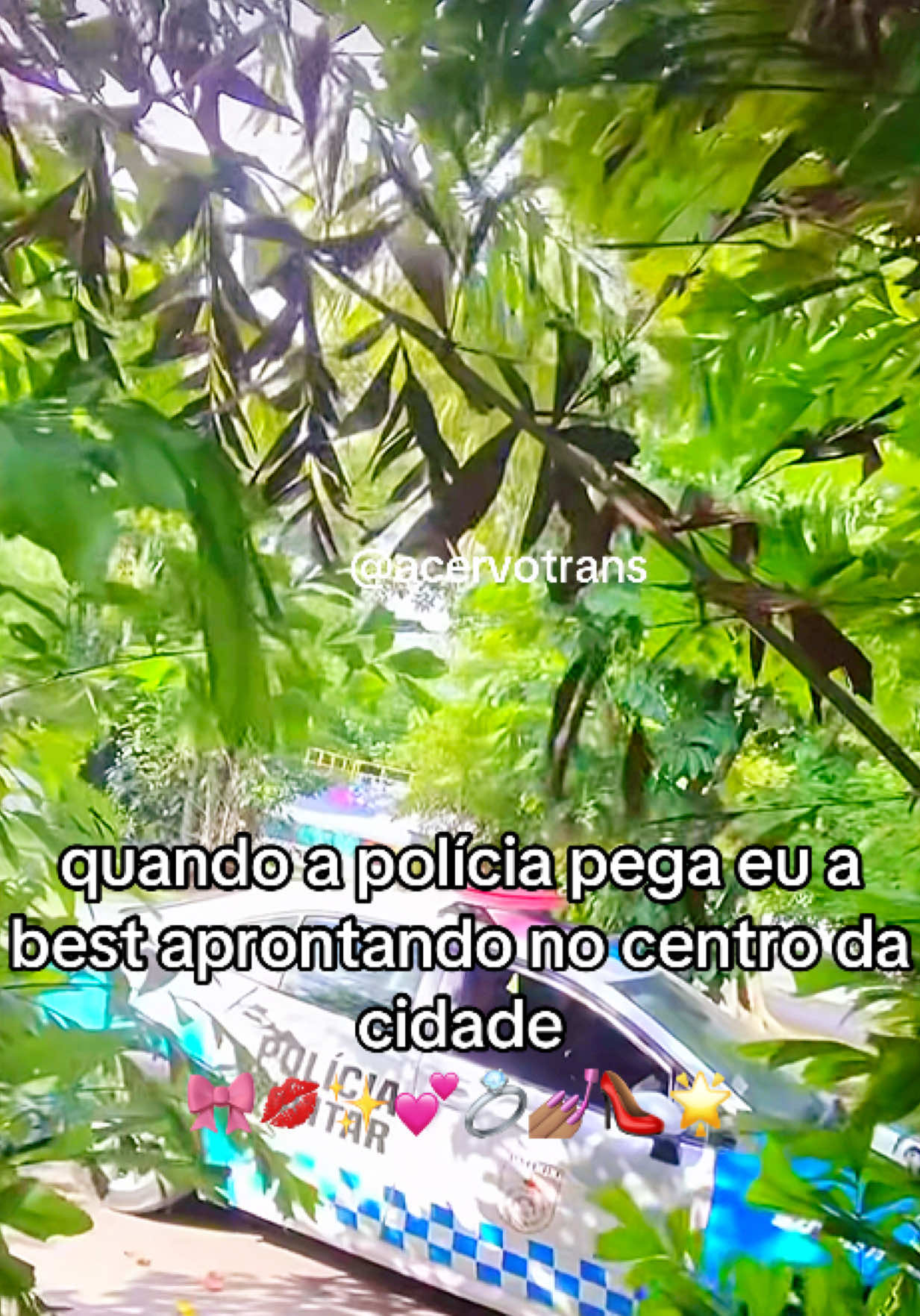 @acervotrans