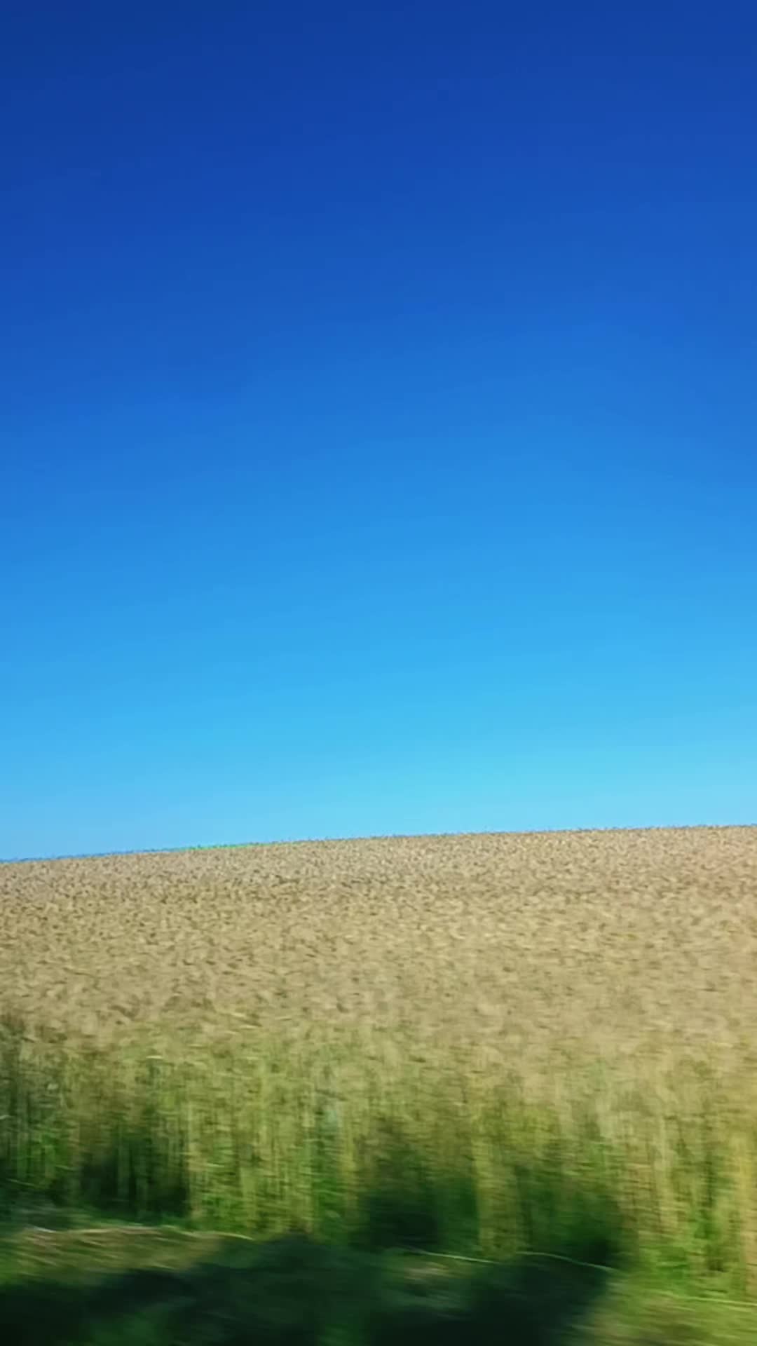 @Анна