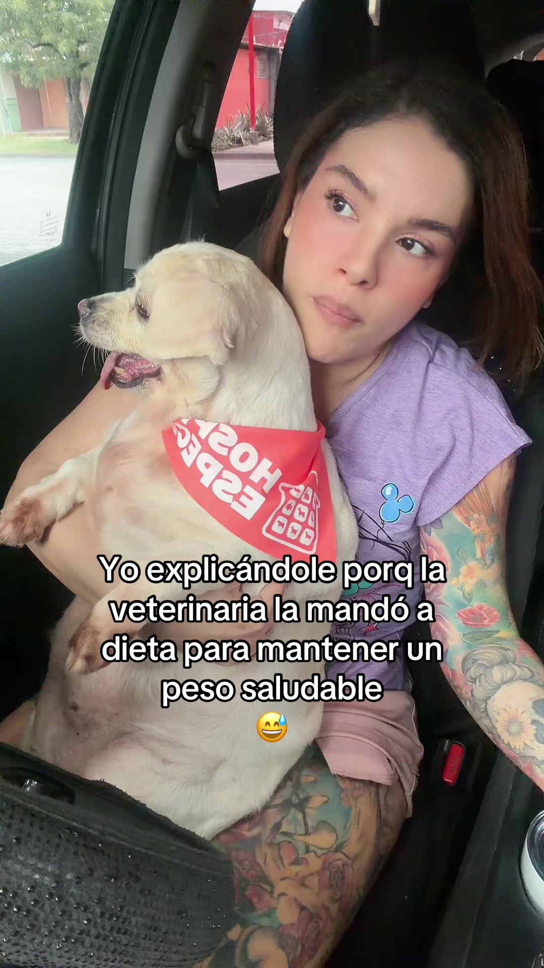 @Shell