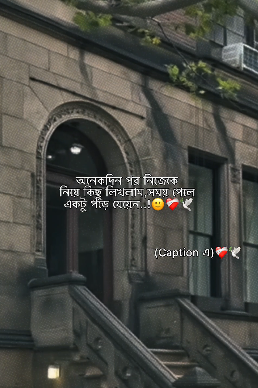 @𝗠𝗮𝘀𝗵𝗮𝗹𝗹𝗮𝗵 𝗔𝗽𝘂'♡︎🌷