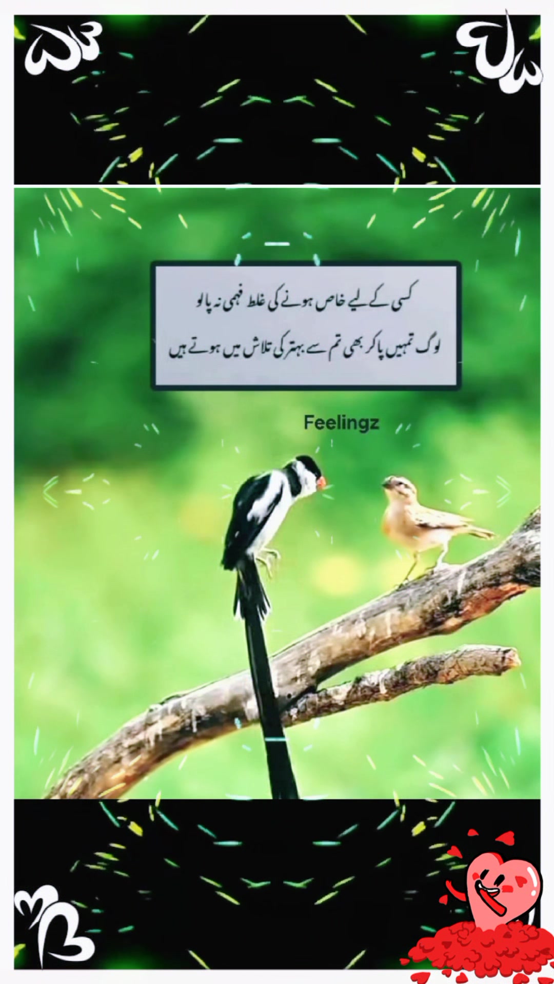 @muhsin