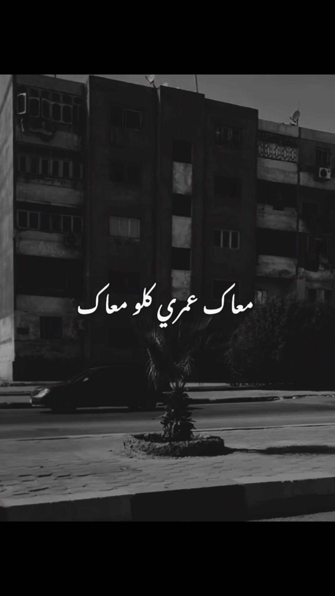 @﮼قـلـب﮼خــارج﮼الـتـغـطـيـه📵
