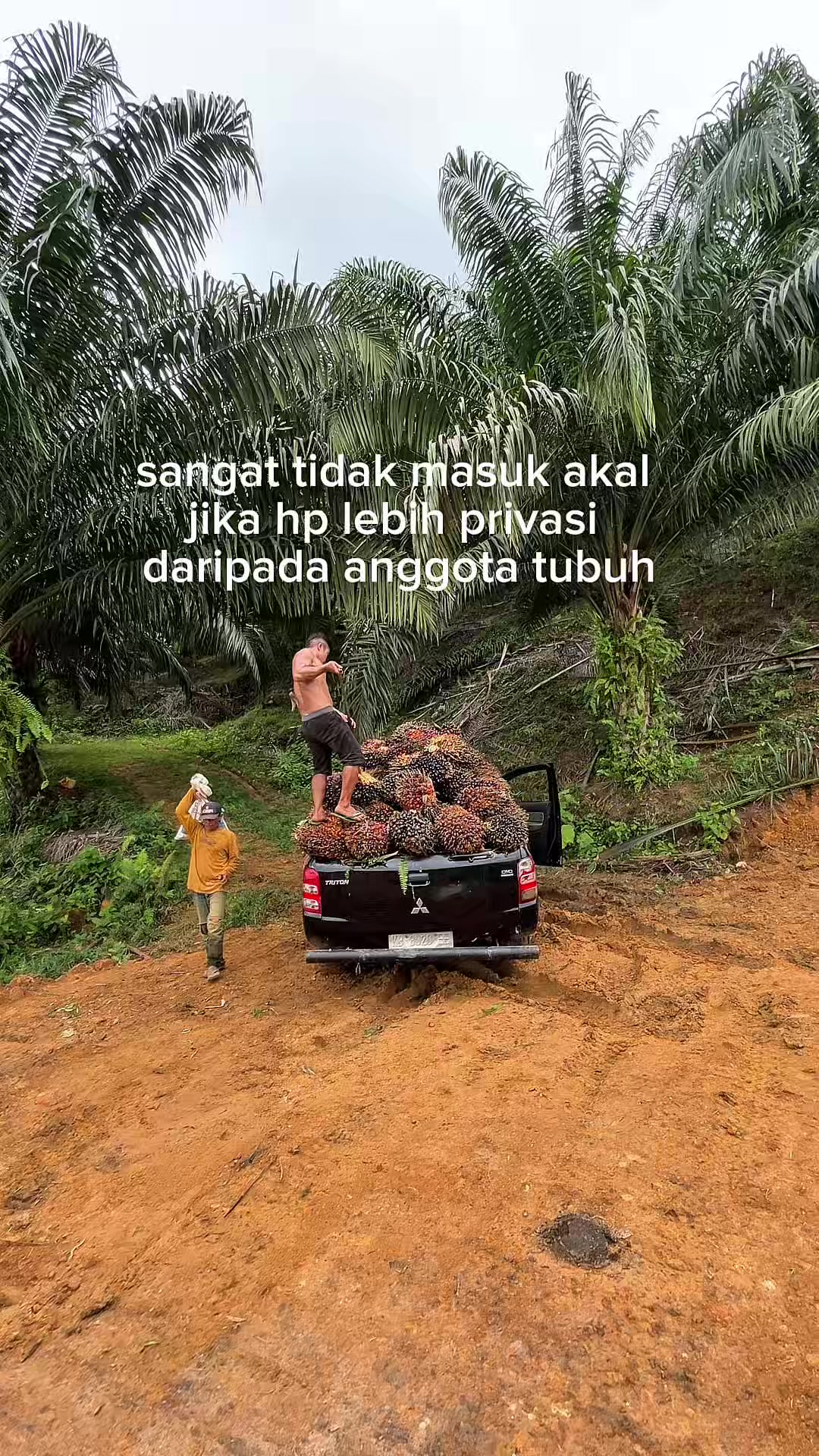 @sintetek ijo_03