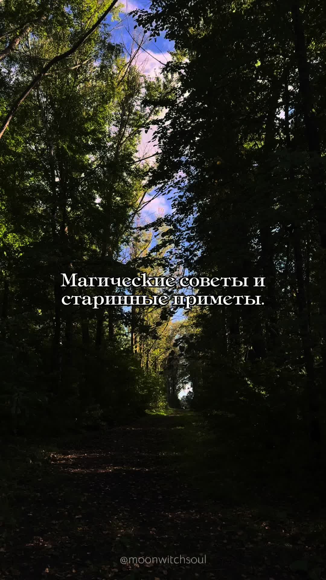 @ᚾ𝐀𝐍𝐀𝐒𝐓𝐀𝐒𝐈𝐘𝐀ᚾ