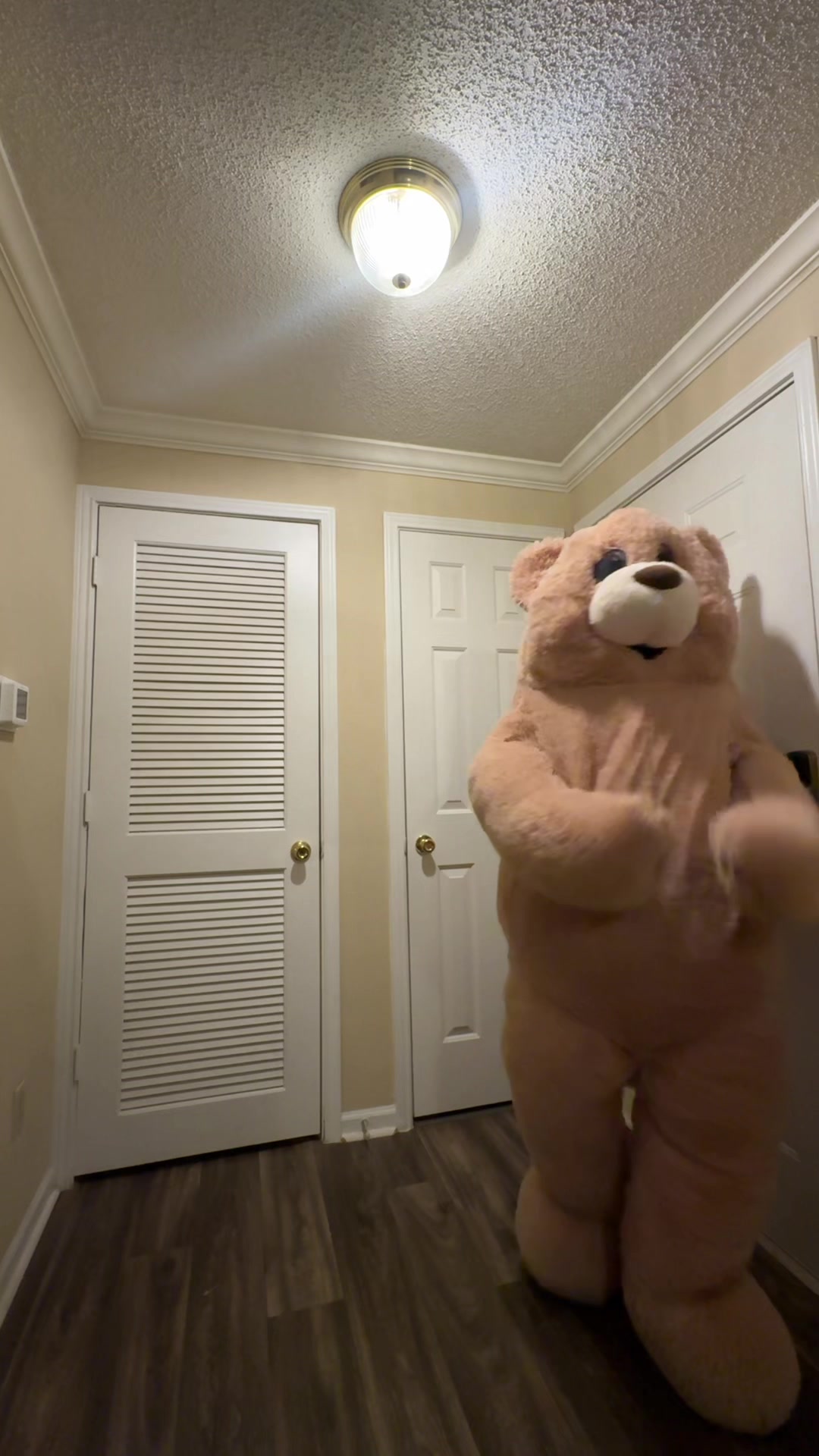 @jaythedancingbear