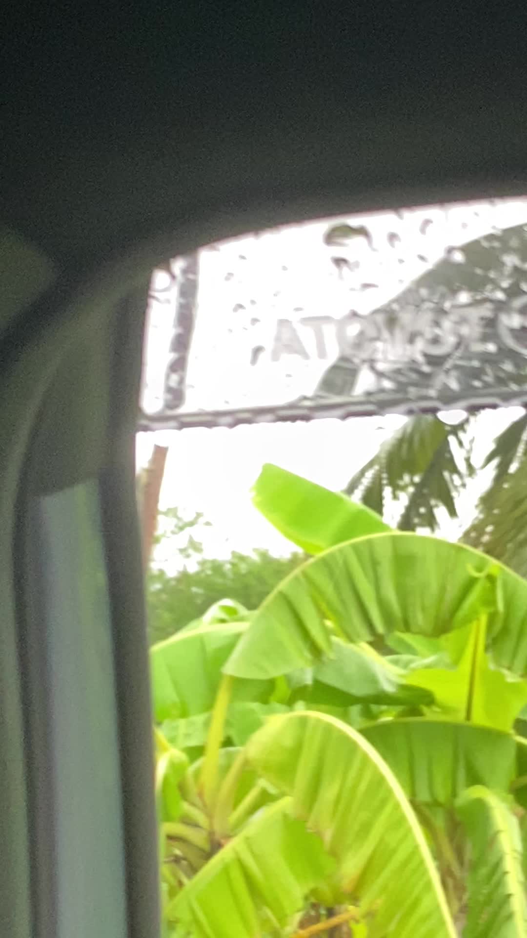 @ปูปากใหญ่🦀🦀