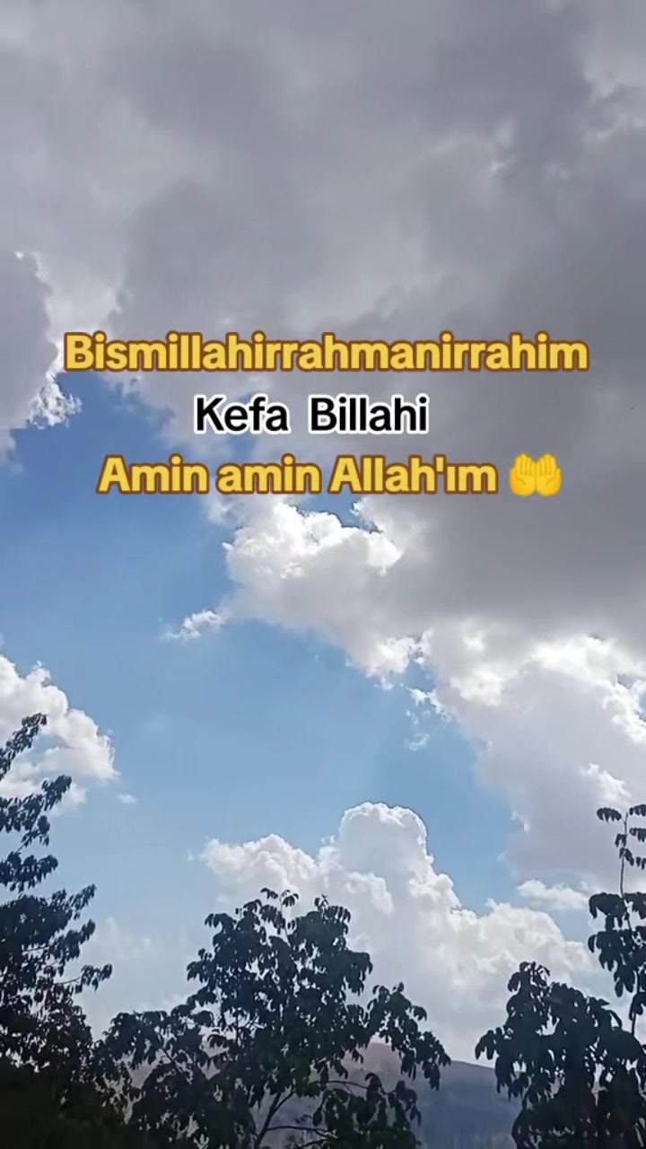 @papatyamm