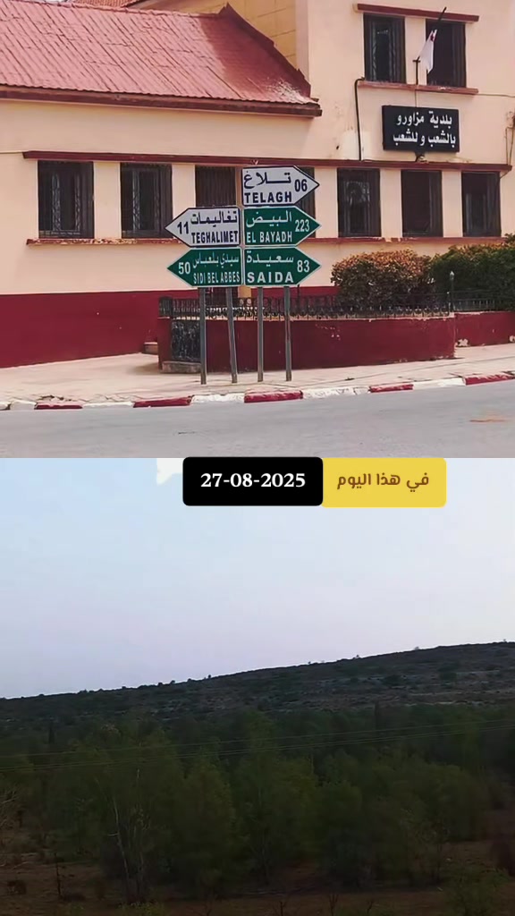 @محمد خراز 🇩🇿 ❤🤍💚