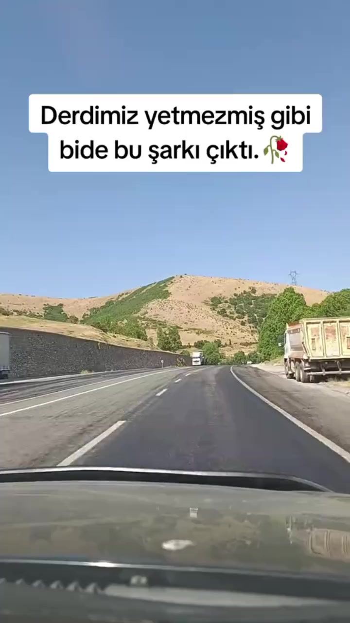 @mavig&ouml;l