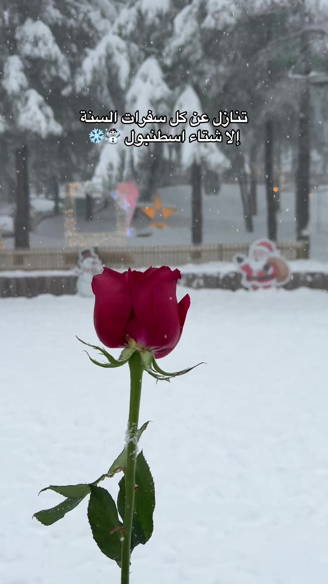 @سُهير الحربي🕊️