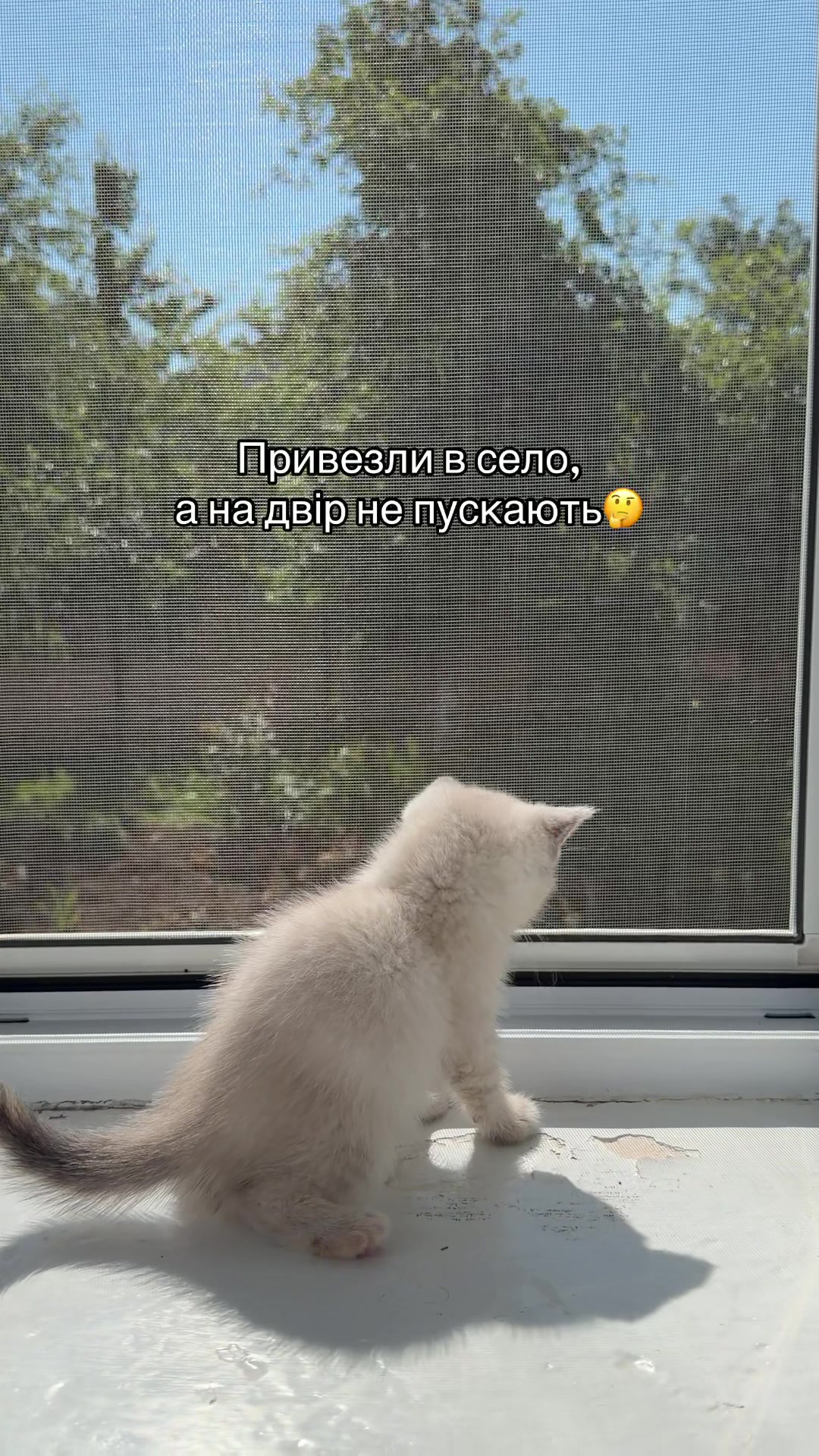 @Оксана Надольська