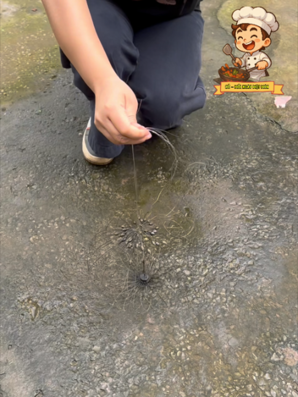 @Đỗ - Mỗi Ng&agrave;y Một M&oacute;n