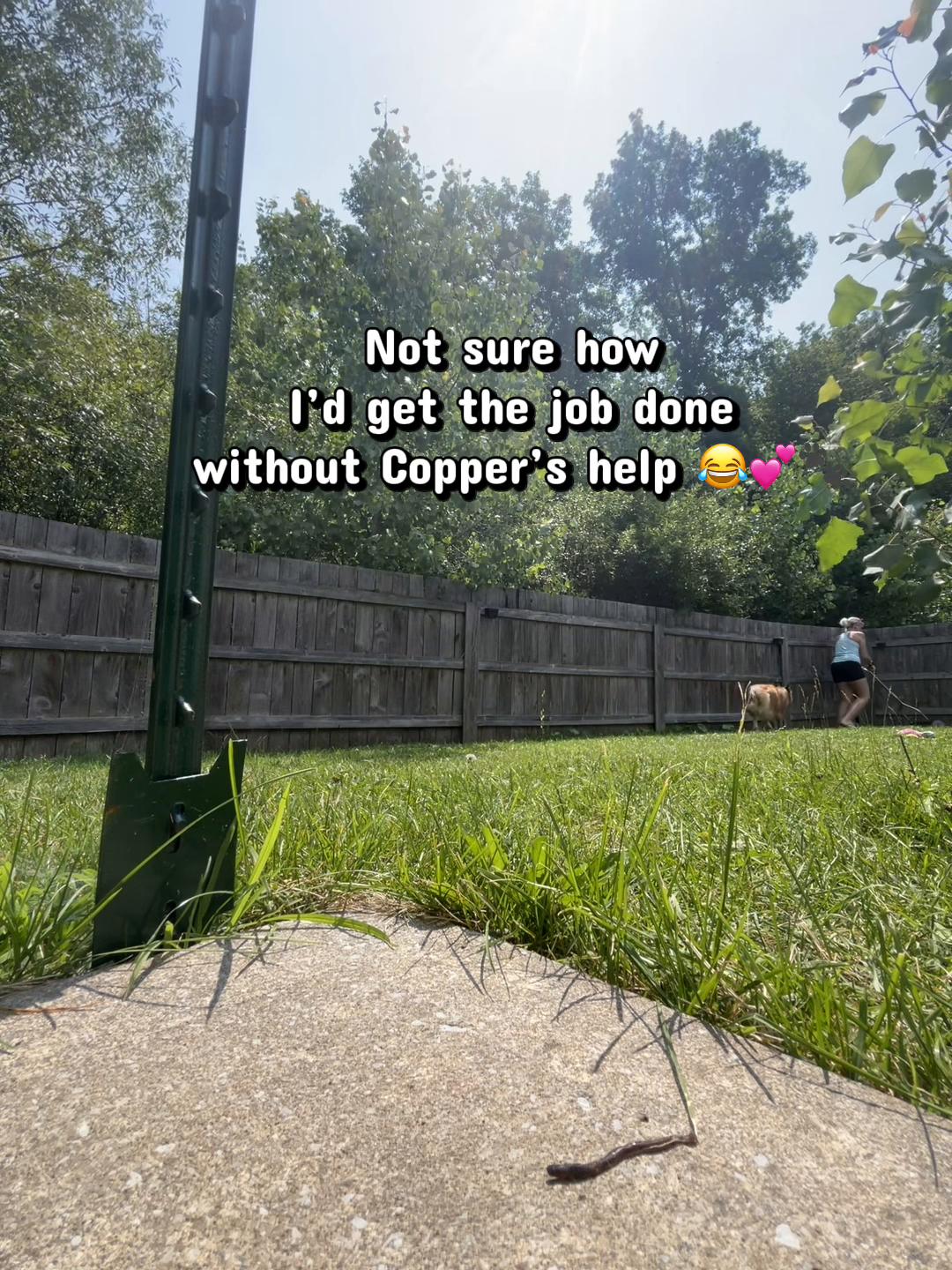 @Laura P_🏃♀️🏃♀️