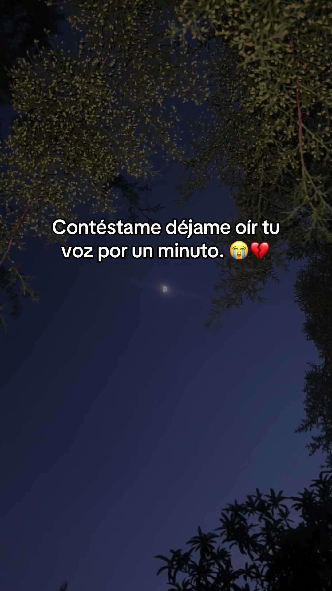 @Marta Sarat