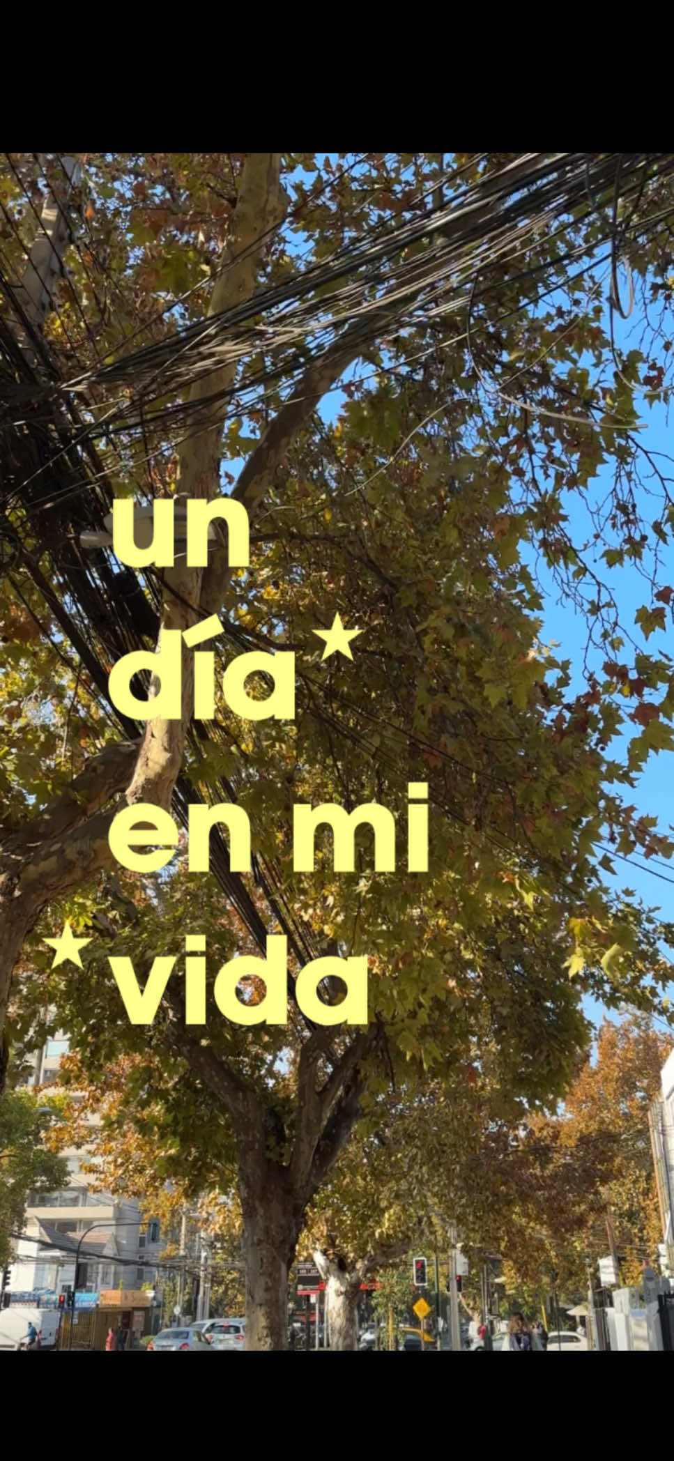 @catalina ⋆˚✿˖° 𐙚