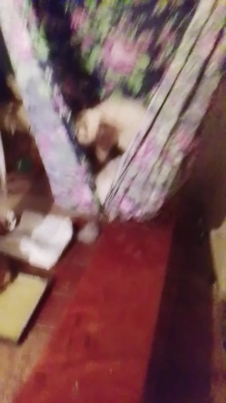 @Dgeki