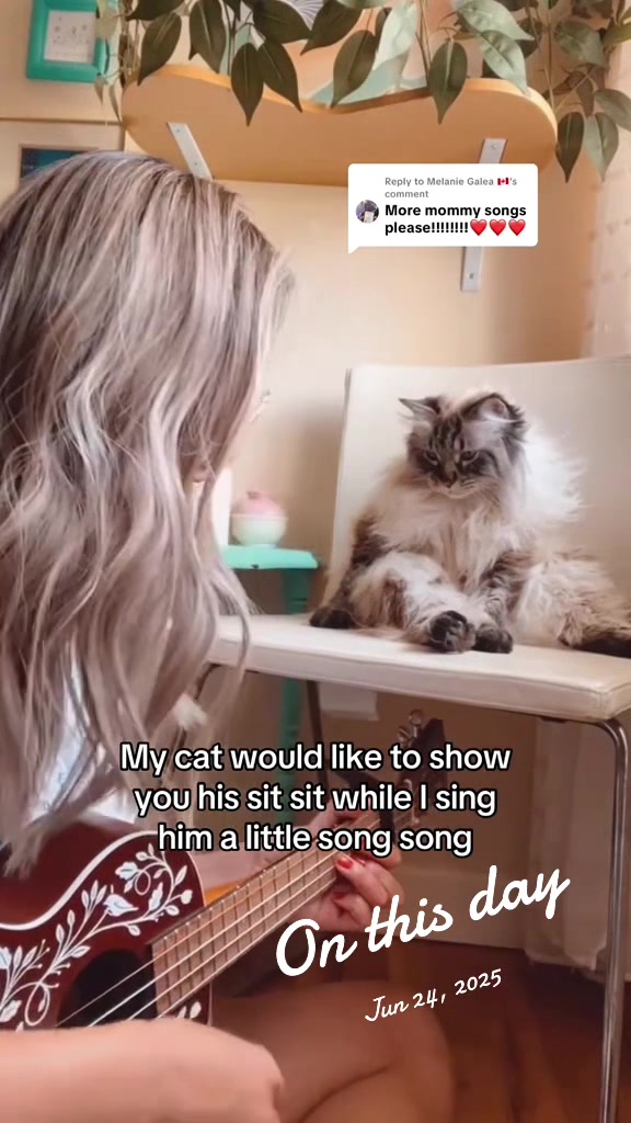@My Cat Is People 🇨🇦