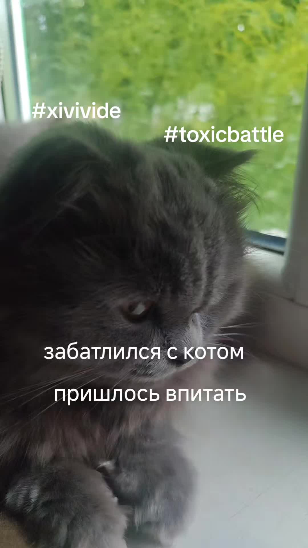 @хакер круто стендов