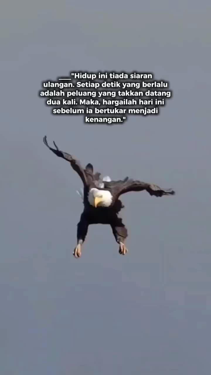 @ᥫ᭡ᴄᴇᴏ_ᴏғ_sᴛᴏʀʏ