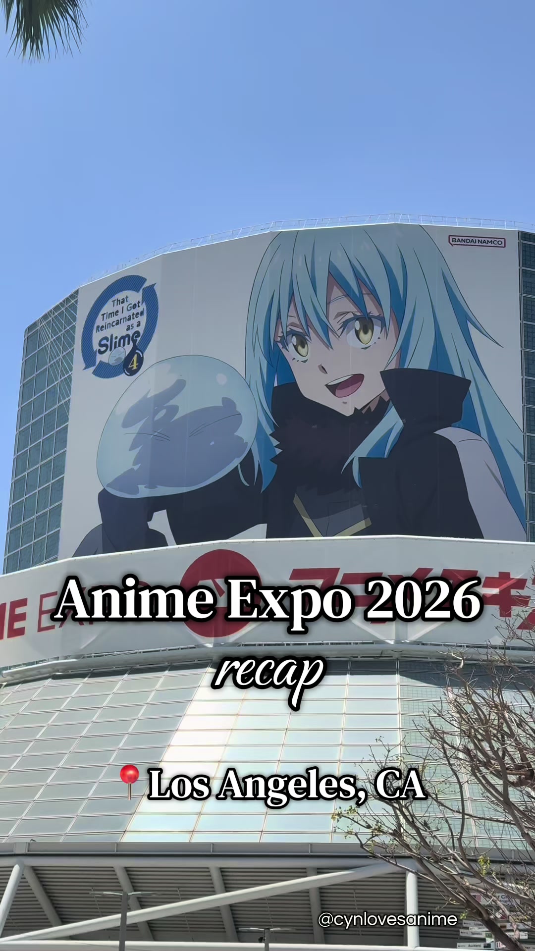 @cyn | anime content ✨