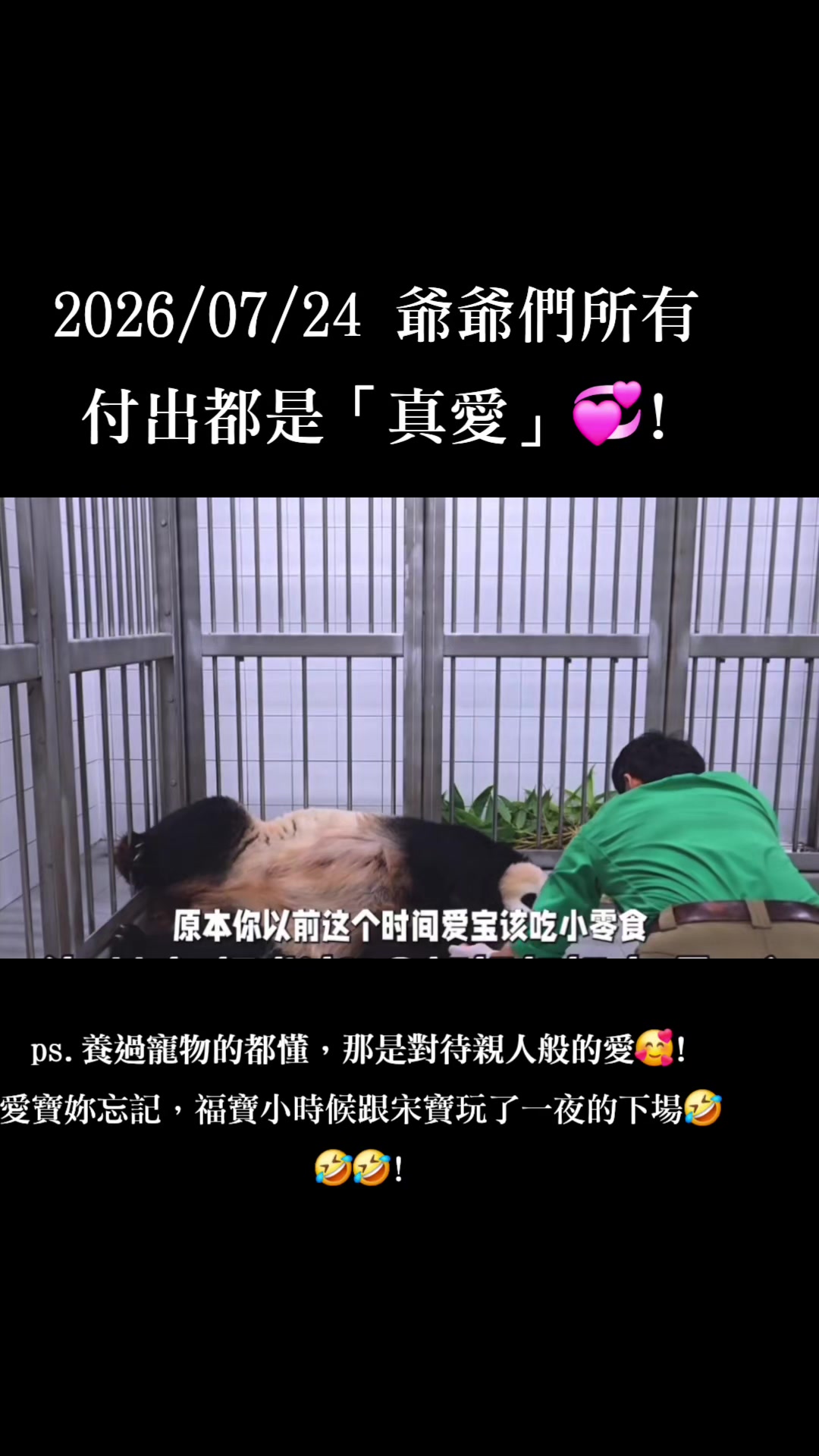 @福寶需要愛的抱抱