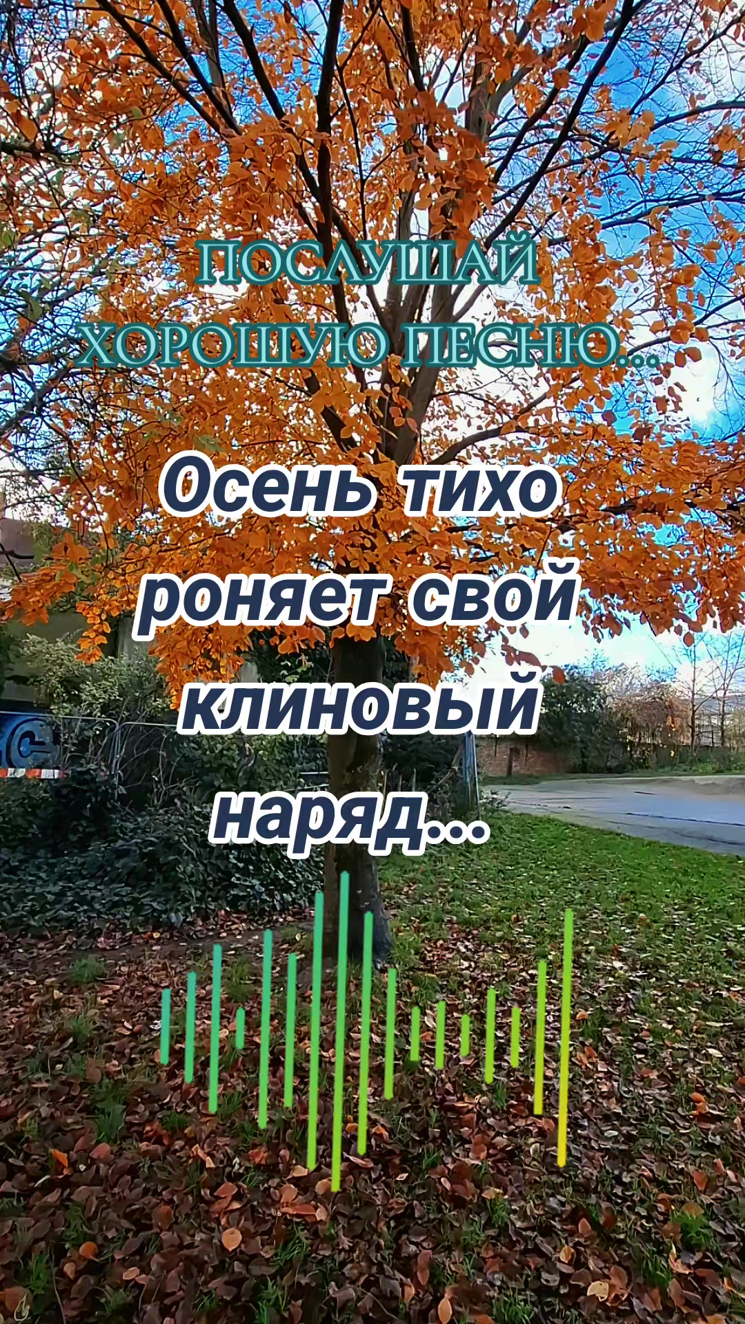 @Алёна А
