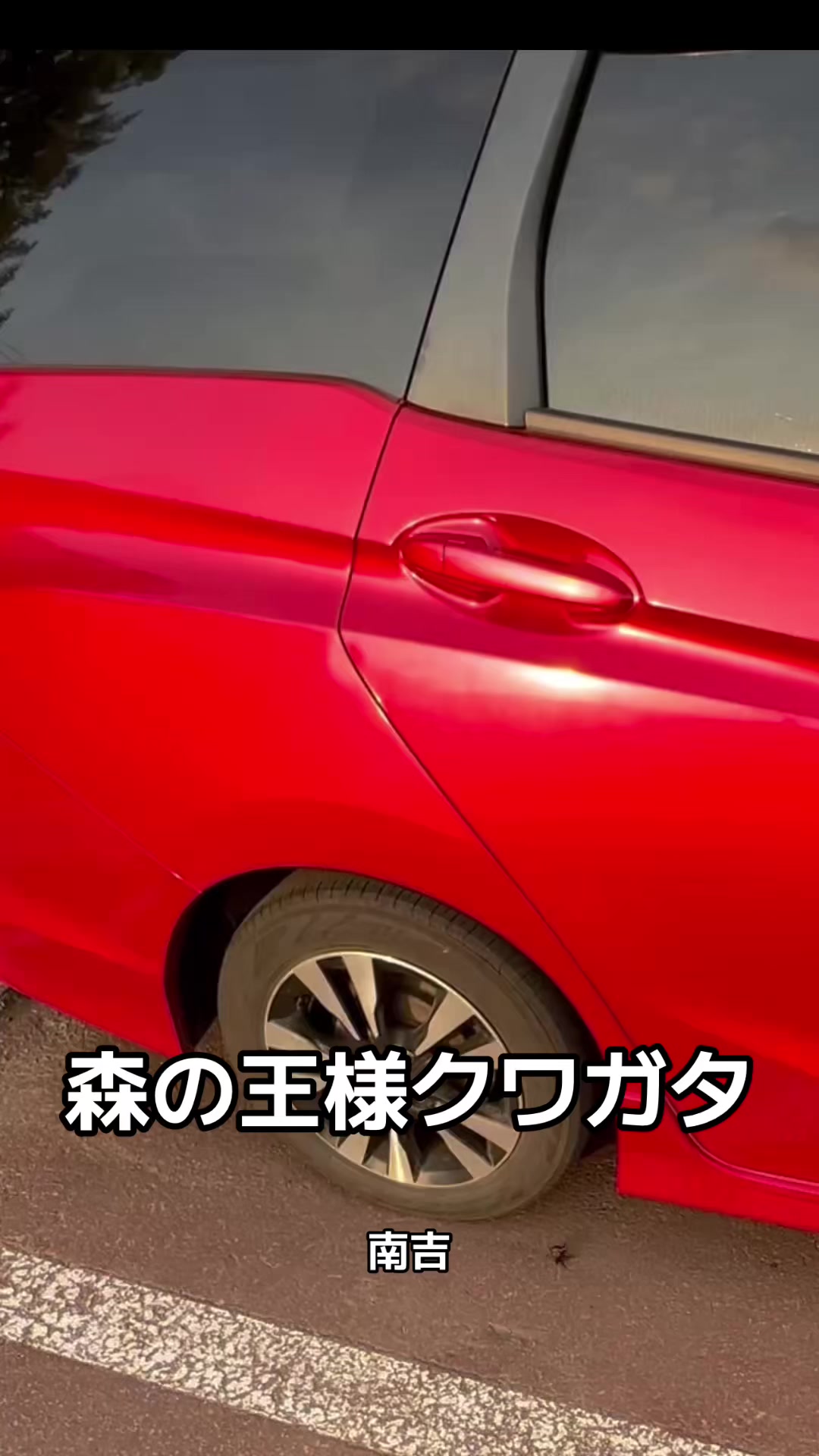 @モミゴンJK(南吉)
