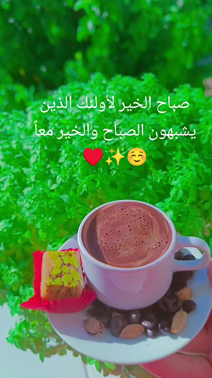 @☺️🌷زهرة حلب 🌷☺️